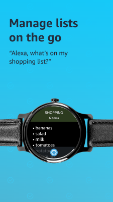 Screenshot of the application Amazon Alexa for Smart Watches - #3