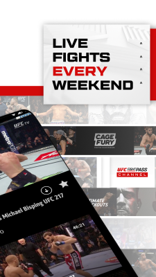Screenshot of the application UFC - #2