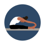 Download Bend: Stretching & Flexibility
