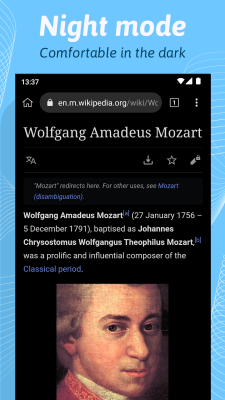Screenshot of the application Kiwi Browser - #3