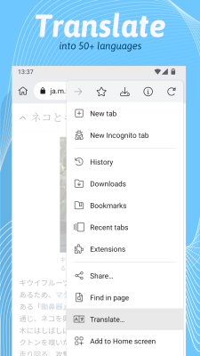 Screenshot of the application Kiwi Browser - #4