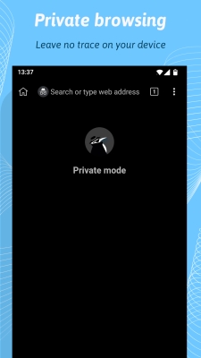 Screenshot of the application Kiwi Browser - #7