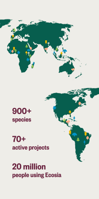 Screenshot of the application Ecosia - #4