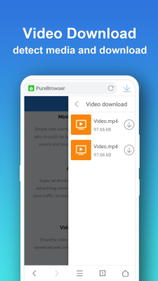 Screenshot of the application Pure Web Browser - #4