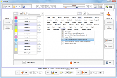 Screenshot of the application VIDEONIZER - #2