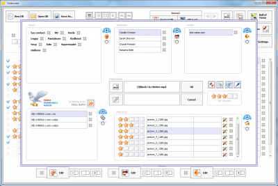 Screenshot of the application VIDEONIZER - #3