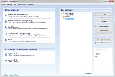 Screenshot of the application PureSync - #3