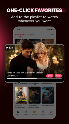 Screenshot of the application FlexTV - #4