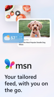 Screenshot of the application MSN - #1