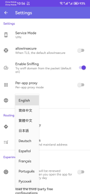 Screenshot of the application Shadowrocket - #8