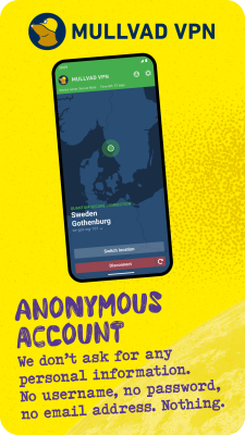 Screenshot of the application Mullvad VPN - #1