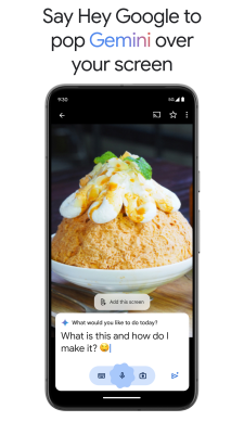 Screenshot of the application Gemini - #8