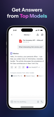 Screenshot of the application Monica AI - #2