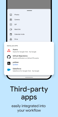 Screenshot of the application Google Chat - #5