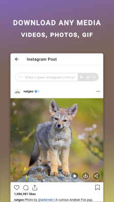 Screenshot of the application Friendly For Instagram - #2
