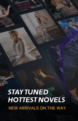 Screenshot of the application Beenovel - #1