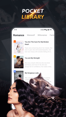 Screenshot of the application Beenovel - #3