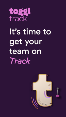 Screenshot of the application Toggl - #1