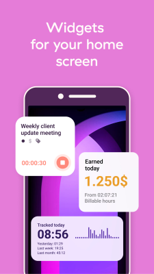 Screenshot of the application Toggl - #8