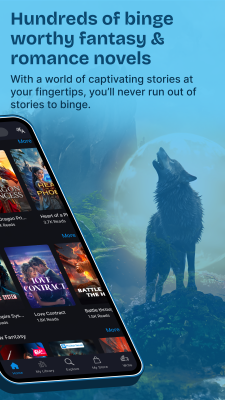 Screenshot of the application Pocket Novel - #2