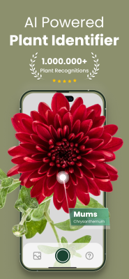Screenshot of the application Plantify - #1