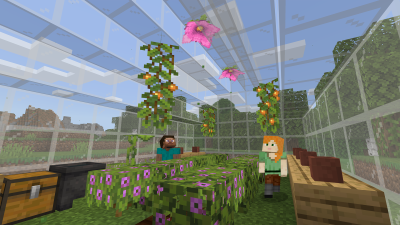 Screenshot of the application Minecraft Education Preview - #2