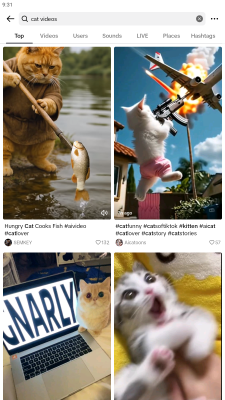 Screenshot of the application JTikTok - #2