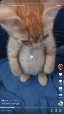 Screenshot of the application JTikTok - #3