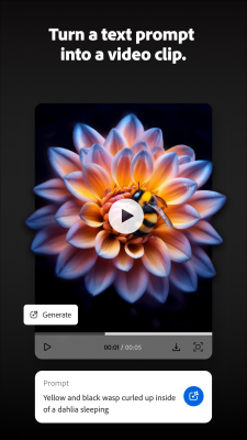 Screenshot of the application Adobe Firefly - #3