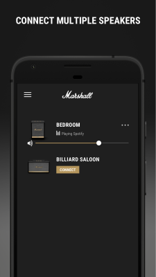 Screenshot of the application Marshall Voice - #1