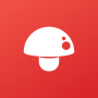 Download Print Master
