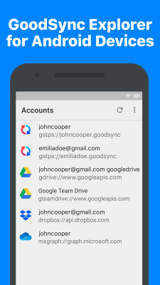 Screenshot of the application GoodSync - #1