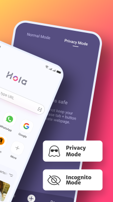 Screenshot of the application Hola Browser - #2