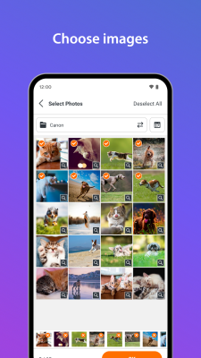 Screenshot of the application SELPHY Photo Layout - #3