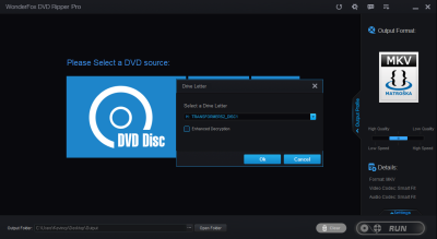 Screenshot of the application WonderFox DVD Video Converter - #2