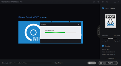 Screenshot of the application WonderFox DVD Video Converter - #3