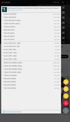 Screenshot of the application TubeMate - #2