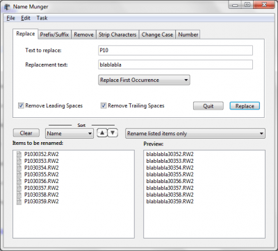 Screenshot of the application Name Munger - #2