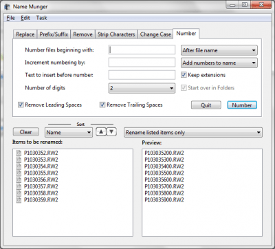 Screenshot of the application Name Munger - #6