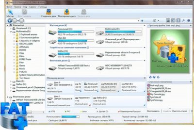 Screenshot of the application Starus FAT Recovery - #1