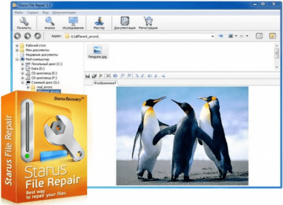 Screenshot of the application Starus File Repair - #1