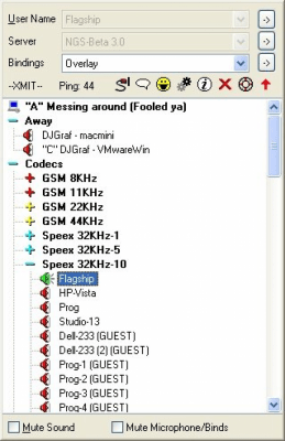 Screenshot of the application Ventrilo - #2