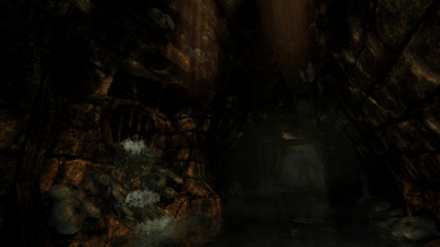 Screenshot of the application Amnesia: The Dark Descent - #2
