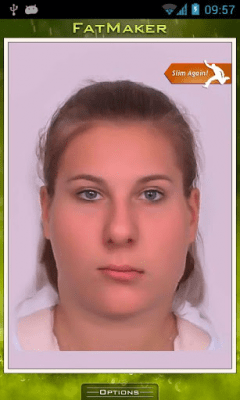 Screenshot of the application Make me fat - #2
