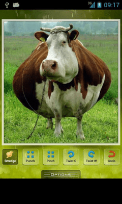 Screenshot of the application Photo Maker - #5