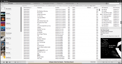 Screenshot of the application MusicBee - #2