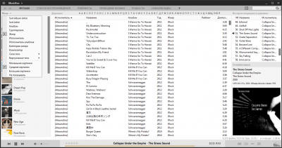 Screenshot of the application MusicBee - #3