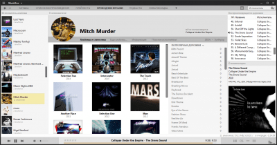 Screenshot of the application MusicBee - #6