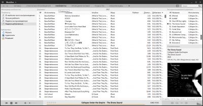 Screenshot of the application MusicBee Portable - #5