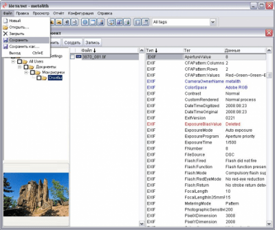 Screenshot of the application Metalite - #2